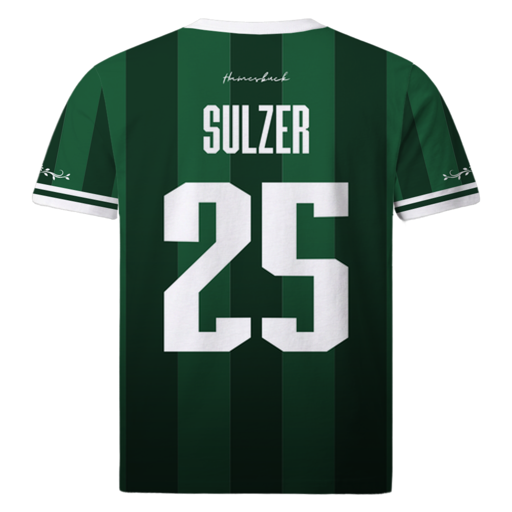 Sulzer 25